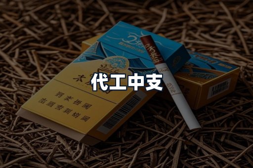 代工中支